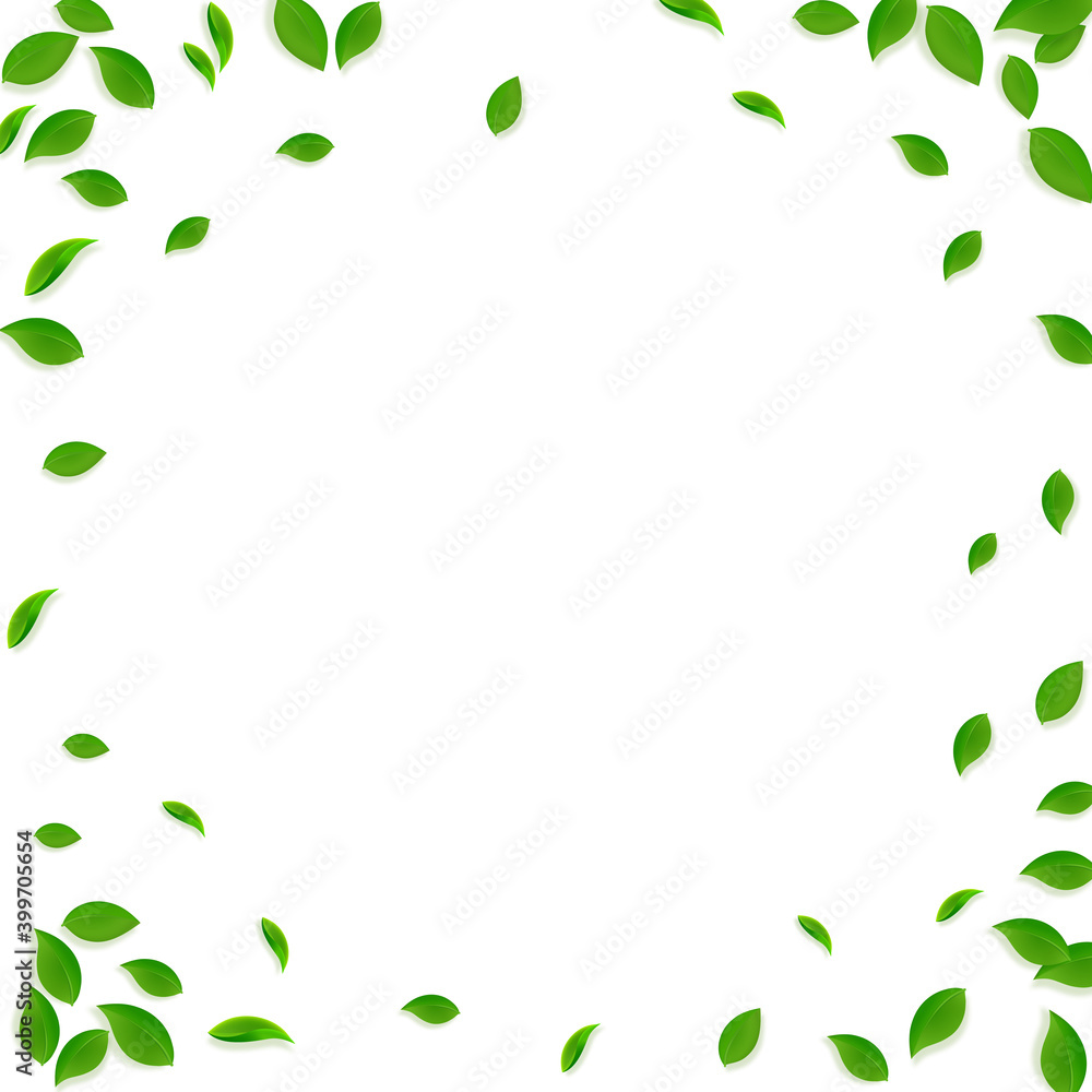 Falling green leaves. Fresh tea chaotic leaves fly Falling green leaves. Fresh tea chaotic leaves fly