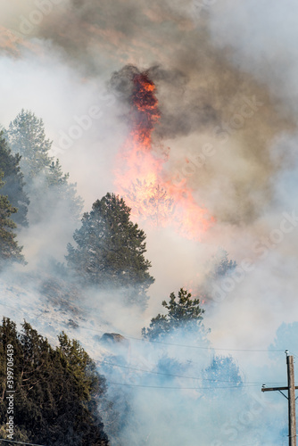 oregon wildfire on mountain tree torching