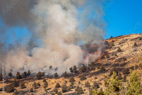 oregon wildfire on mountain