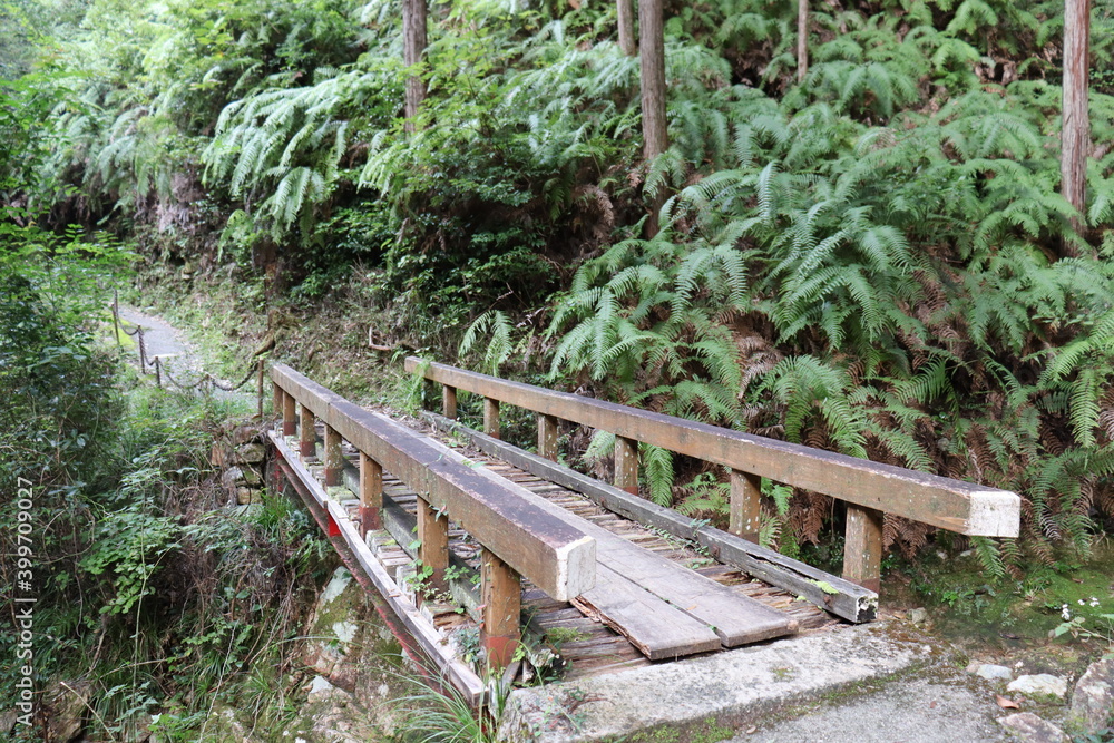 Fototapeta premium 宇連山の綺麗な景色