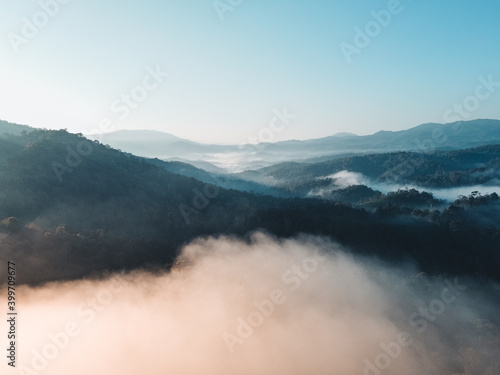 Fototapeta Naklejka Na Ścianę i Meble -  Early morning forest from above, morning sun and fog