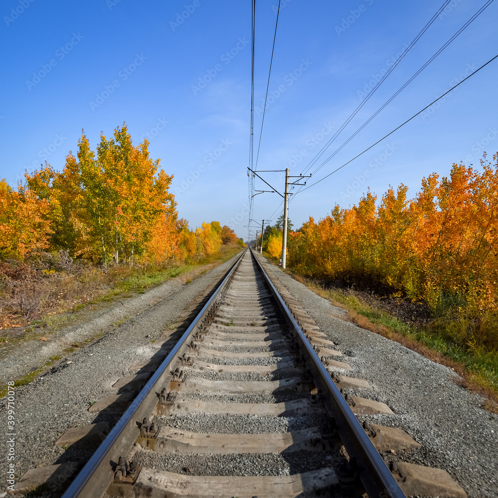 The railway passes through a beautiful autumn forest with colorful trees. The railway passes through a beautiful autumn forest with colorful trees.