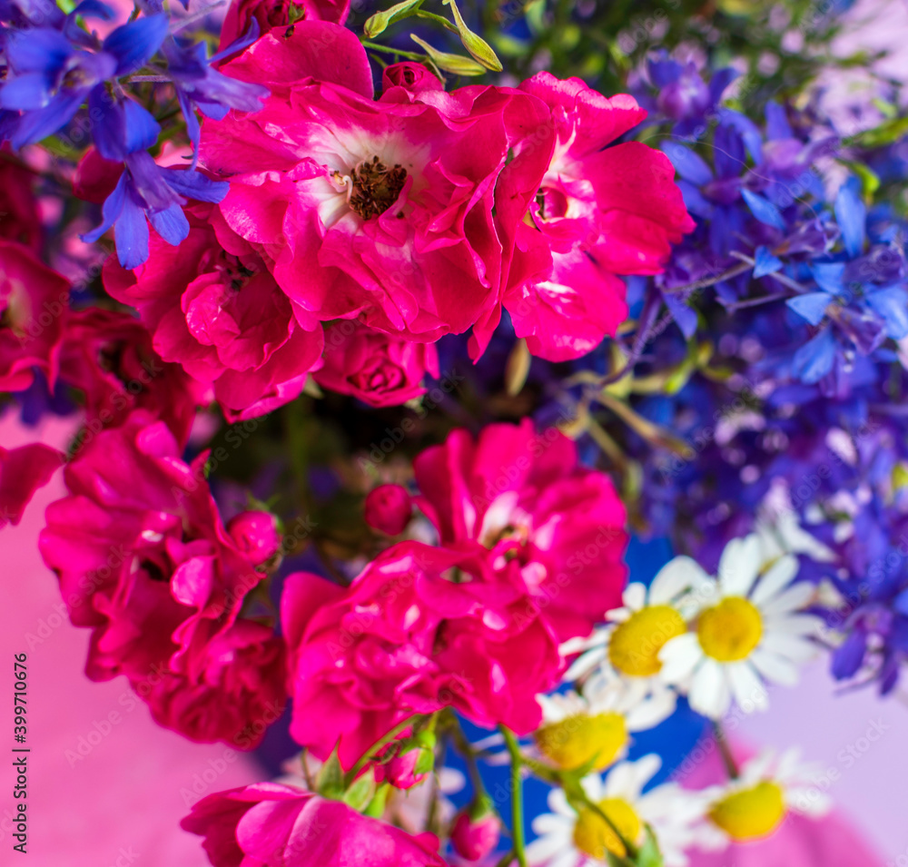 Bright bouquet close-up on a pink background.Climbing small-flowered roses, consolida regalis and daisies