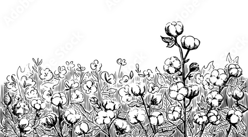 Cotton plant on the field. Leaves and flowers. Plant. For fabrics, textiles, labels, covers and templates for natural products.