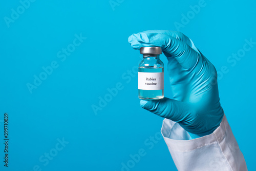 A doctor or lab technician in blue gloves holds a rabies vaccine with a place to text. Prevention in veterinary medicine. Rabies in wild and domestic animals, foxes, cats and dogs photo