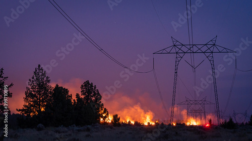 Fotografiet California wildfire burns under power lines