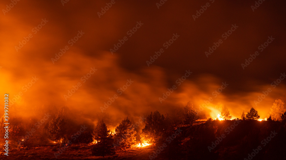 Oregon wildfire burns in forest Oregon wildfire burns in forest