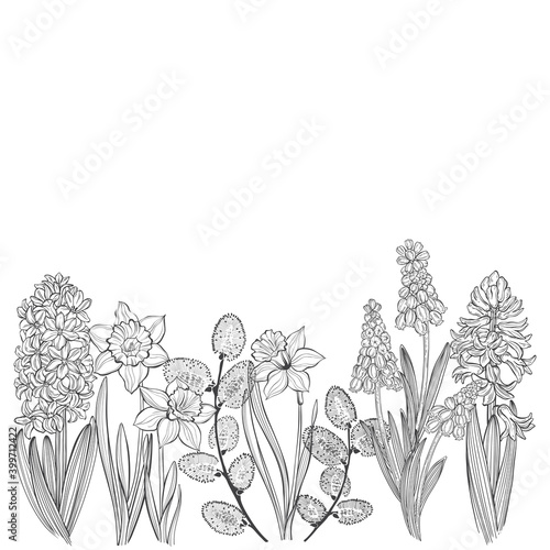 Vector illustration on white with copy space for text - background with spring flowers and pussy willow branches - backdrop for greeting cards, posters, banners and placards.