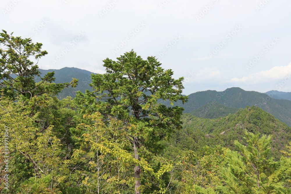 宇連山から見る綺麗な景色