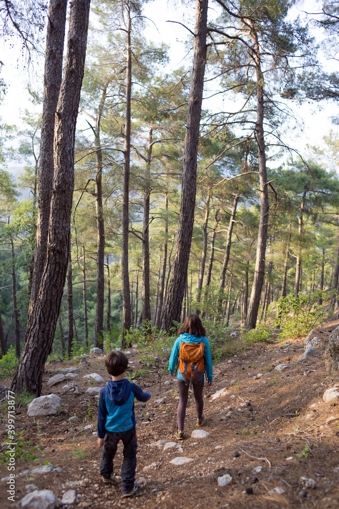 A woman walks with her son through the forest.