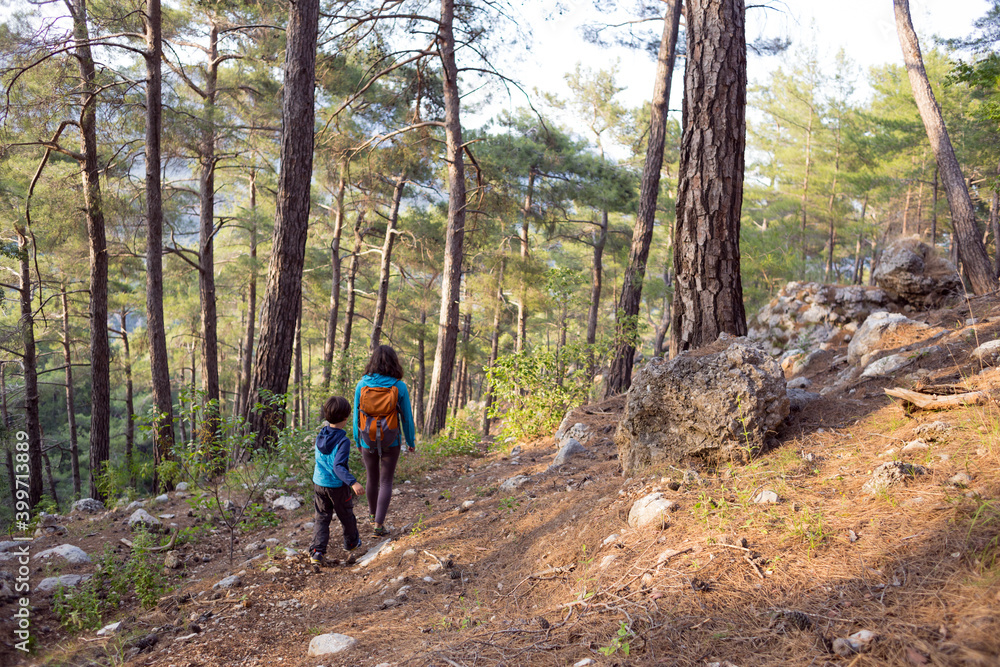 Obraz premium A woman walks with her son through the forest.