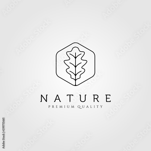 oak leaf line art minimalist logo vector illustration design