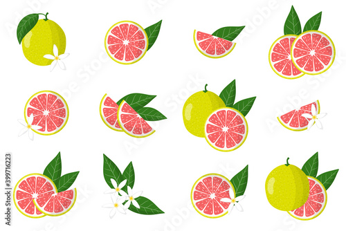 Set of illustrations with pomelo exotic citrus fruits, flowers and leaves isolated on a white background.