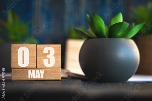 may 3rd. Day 3 of month, Cube calendar with date and pot with succulent placed on table at home Simple calendar. spring month, day of the year concept