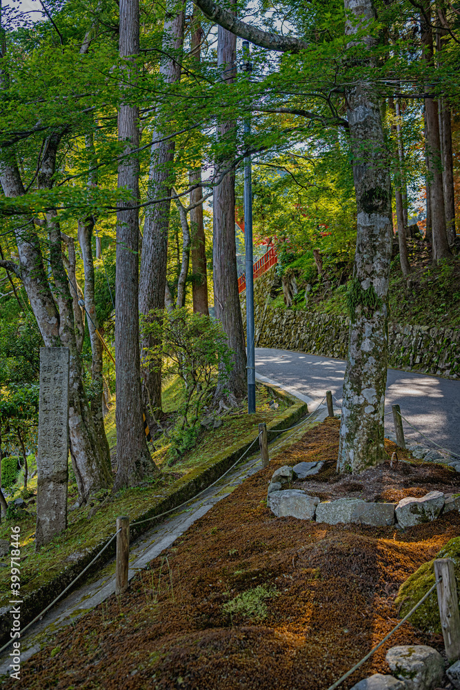 Fototapeta premium 比叡山延暦寺 境内風景