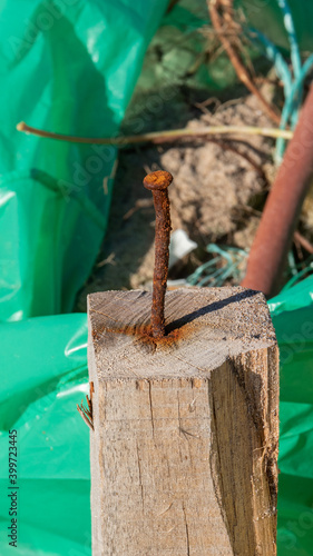 nail driven into wood