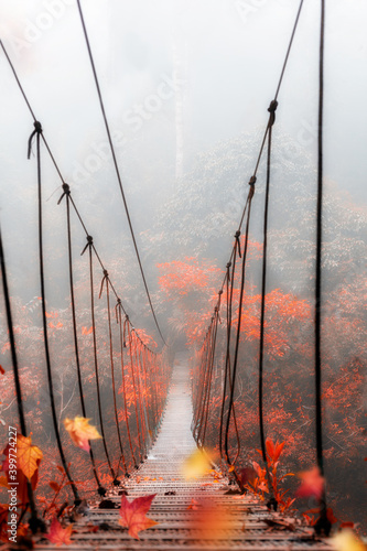 fairy tale bridge, palsong,champasak,laos