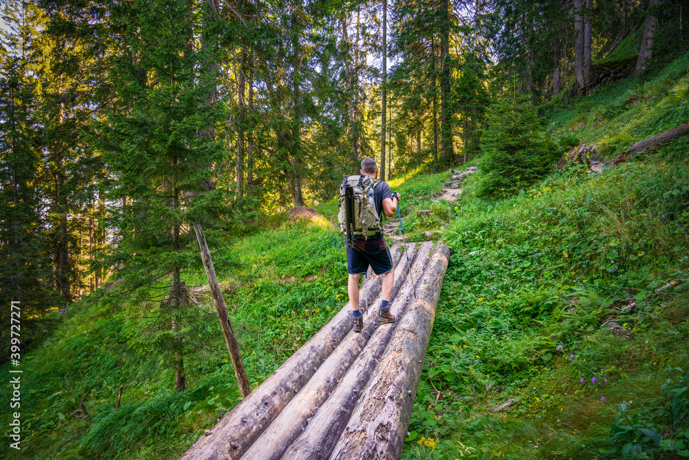 Traveller hiking in the woods wearing backpack and camera tripod Traveller hiking in the woods wearing backpack and camera tripod