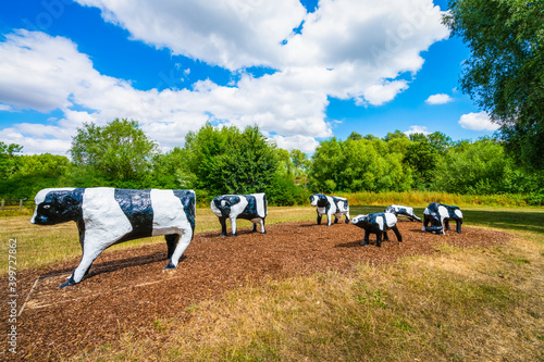 Fake cows at the park photo