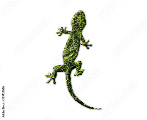 Gecko lizard reptile symbol Grass green Logo icon illustration