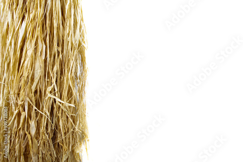 Photos Loose hanging bast fiber hanging on the left side isolated on white background w