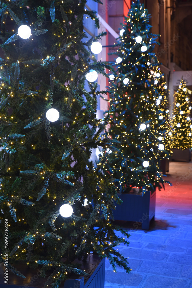 Sapins lumineux à Noël Sapins lumineux à Noël