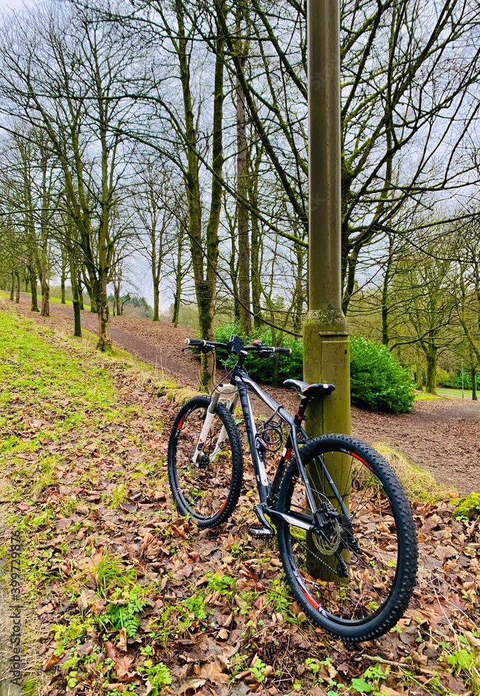 Fototapeta premium bicycle in the park