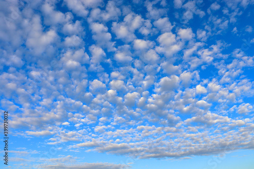 Little altocumulus clouds in the blue sky in morning photo