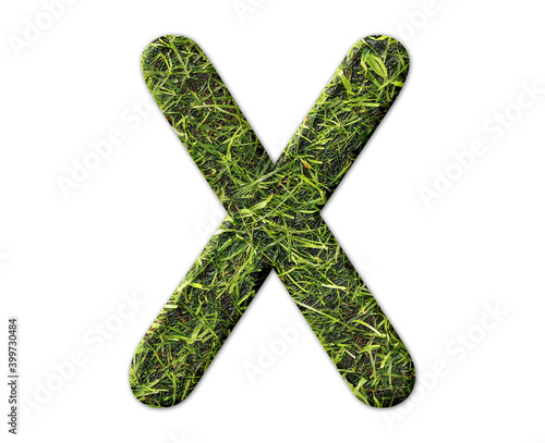 x Alphabet symbol Grass green Logo icon illustration