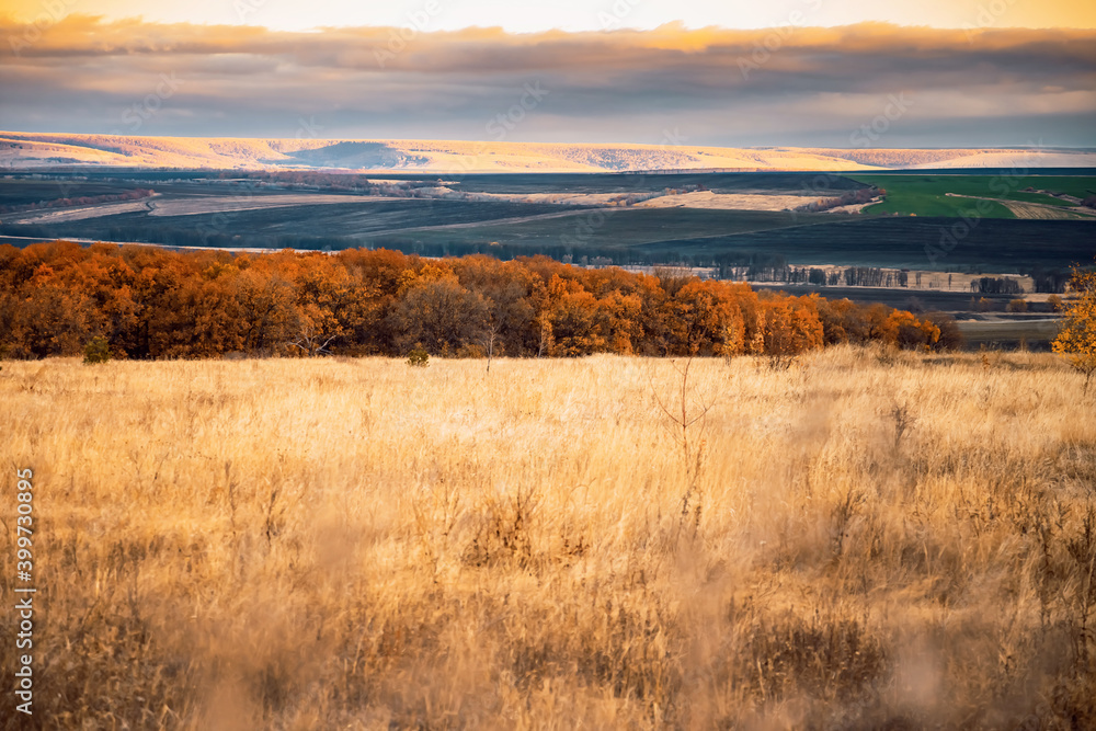 Autumn Concept, Natural Background, Dramatic Sky, View from the Top to the Roads and Fields, Forest with Golden Leaves, Travel in the Early Morning before a Thunderstorm in the Saratov region