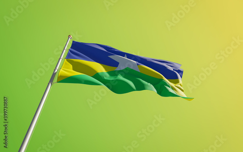 Rondonia Brazil State Flag photo