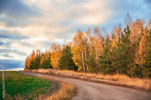 Road in the Field, Autumn Concept, Natural Background, Dramatic Sky, Orange Yellow Dawn, Forest with Golden Leaves, Sunrise over the Horizon, Travel through the Saratov region