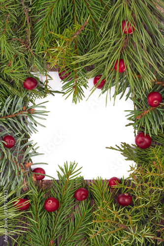 Christmas background with live fir branches. holiday banner or postcard.