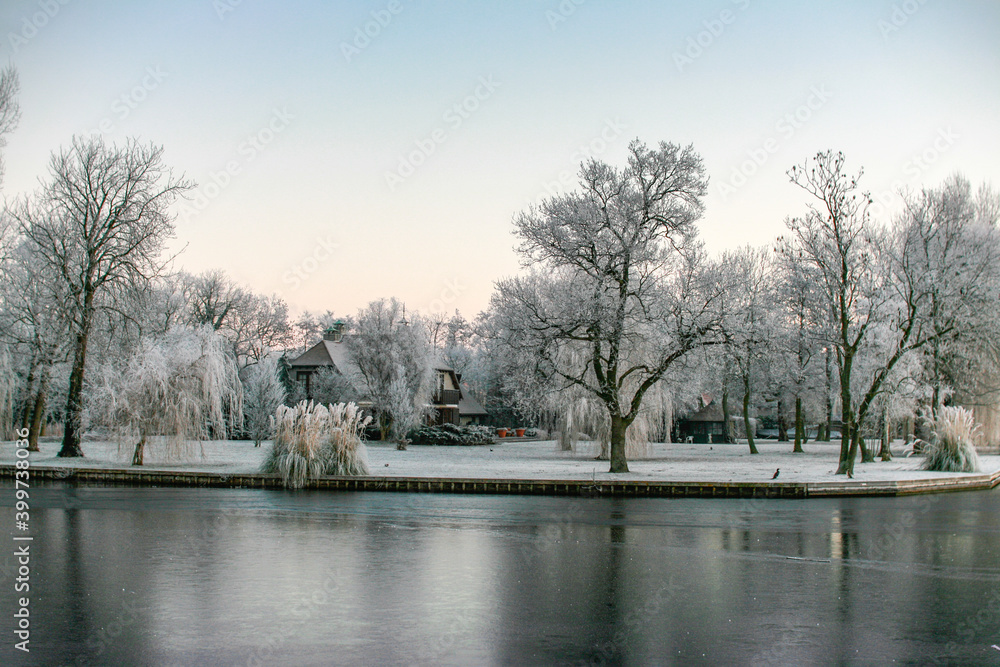 Obraz premium Frozen garden on the river the Leede in the South-Holland village of Warmond in the Netherlands