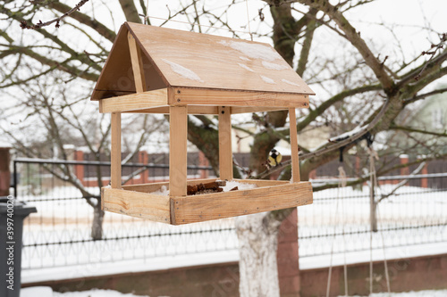 Bird feeder hanging on a tree. Winter bird care concept