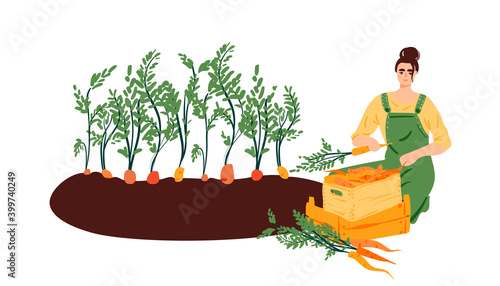 Isolated farmer woman growing carrots cartoon illustration. Gardening, harvesting hand drawn doodle banner design. Eco lifestyle, home garden, local food printing card