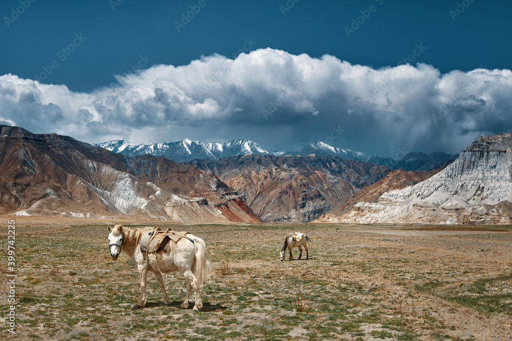 Scenic landscape with grazing horses on backdrop of colorful mountains in Himalayas. Upper Mustang, Nepal