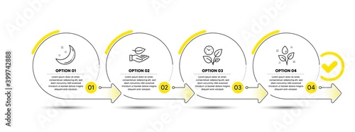 Leaf, Moon stars and Leaves line icons set. Timeline process infograph. Plants watering sign. Plant care, Night, Grow plant. Water drop. Nature set. Infographics timeline banner. Vector