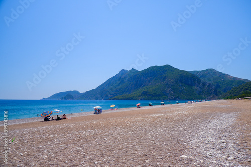 people on beach and sea