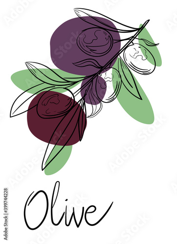 Outline hand drawn olives on branch with colorful leaves