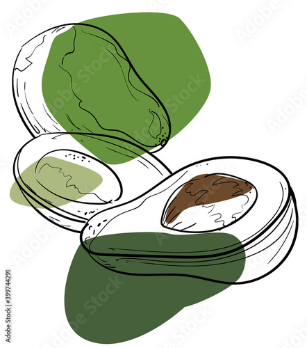 Hand drawn halved and whole ripe avocado with green color palette
