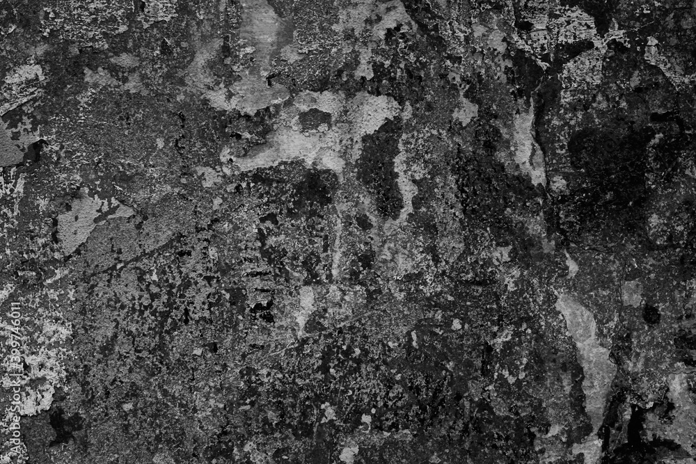 Black and white texture, high resolution texture for background. Black and white texture, high resolution texture for background.