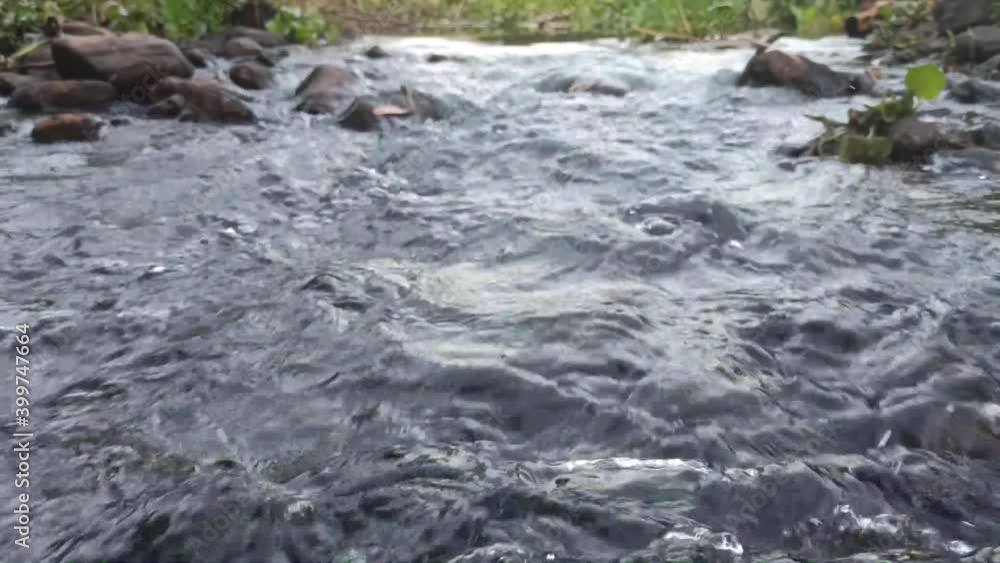 stream in the forest (river water) stream in the forest (river water)