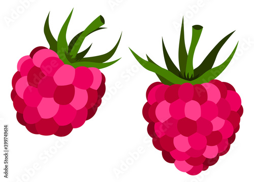 Raspberry pink berry flat  vector colorful isolated illustration