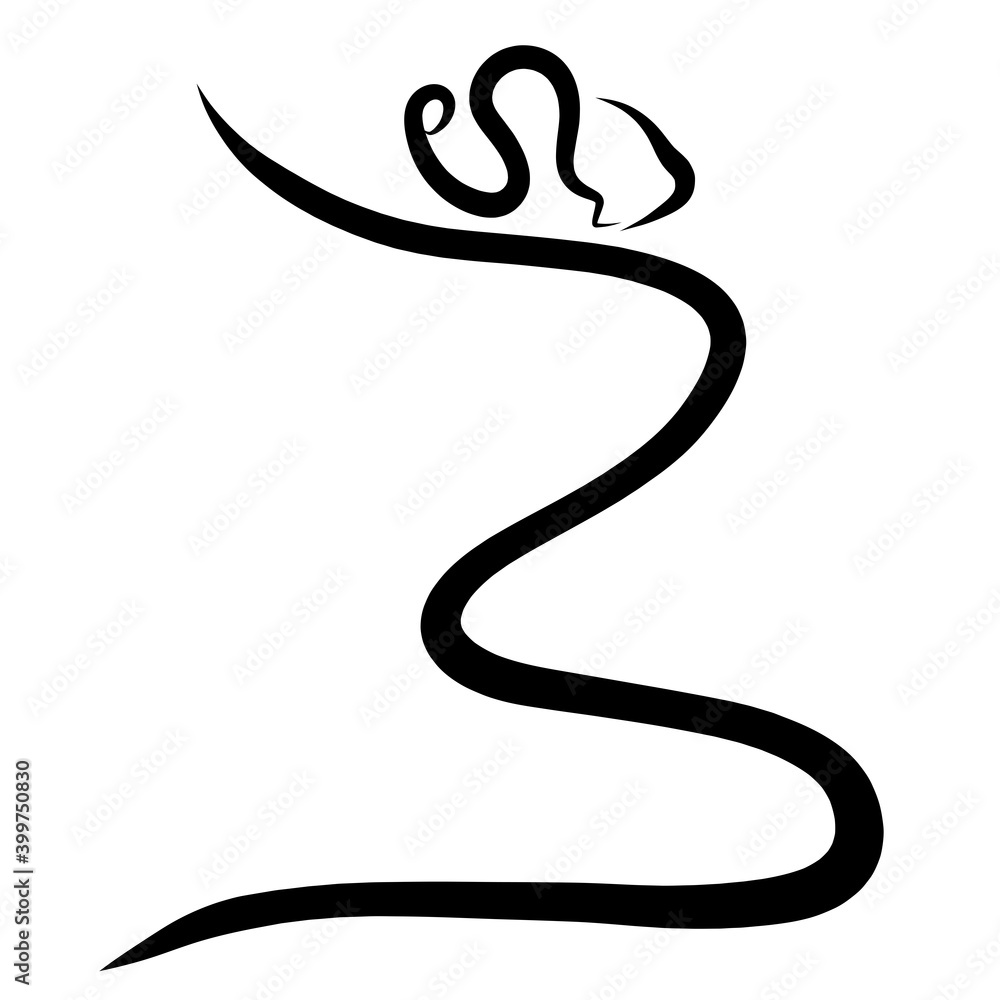 Fototapeta premium flexible graceful woman like a writhing ribbon