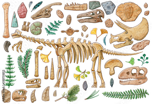 Dinosaur skeleton, skull and items illustration by watercolor with working path