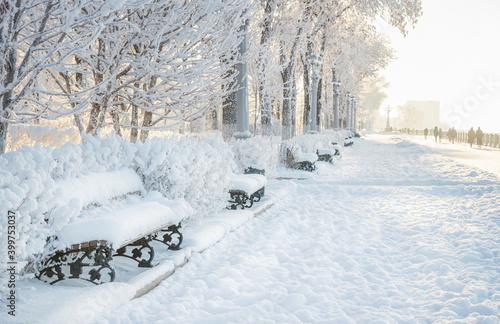 Beautiful snowy landscape in the park. White fluffy snow lies on benches, trees and sidewalks. Defocus. © antonina
