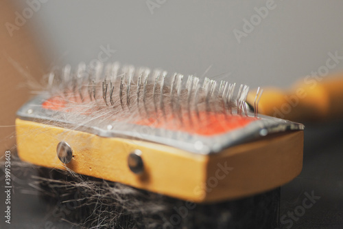 Comb for the fluff of your beloved cat. Close-up, narrow focus.