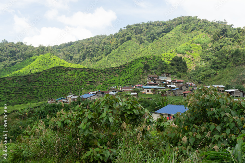 Small aboriginal settlement near Tanah Rata, in the Cameron Highlands, Malaysia. The beautiful area is covered by green tea plantations. 
