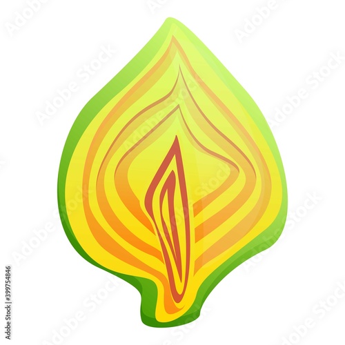 Half cutted artichoke icon. Cartoon of half cutted artichoke vector icon for web design isolated on white background